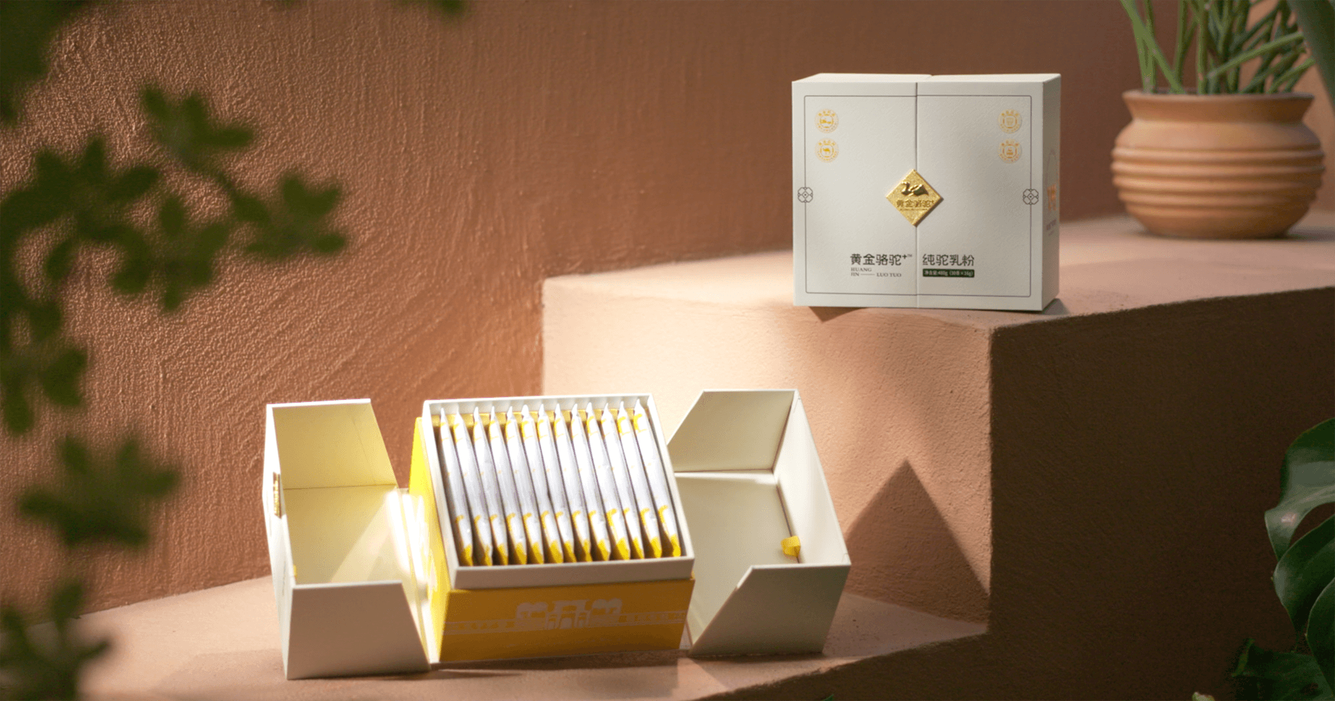 定位小众高端乳粉，ag尊龙推出驼奶品牌“黄金骆驼+”，角逐乳品新市场！